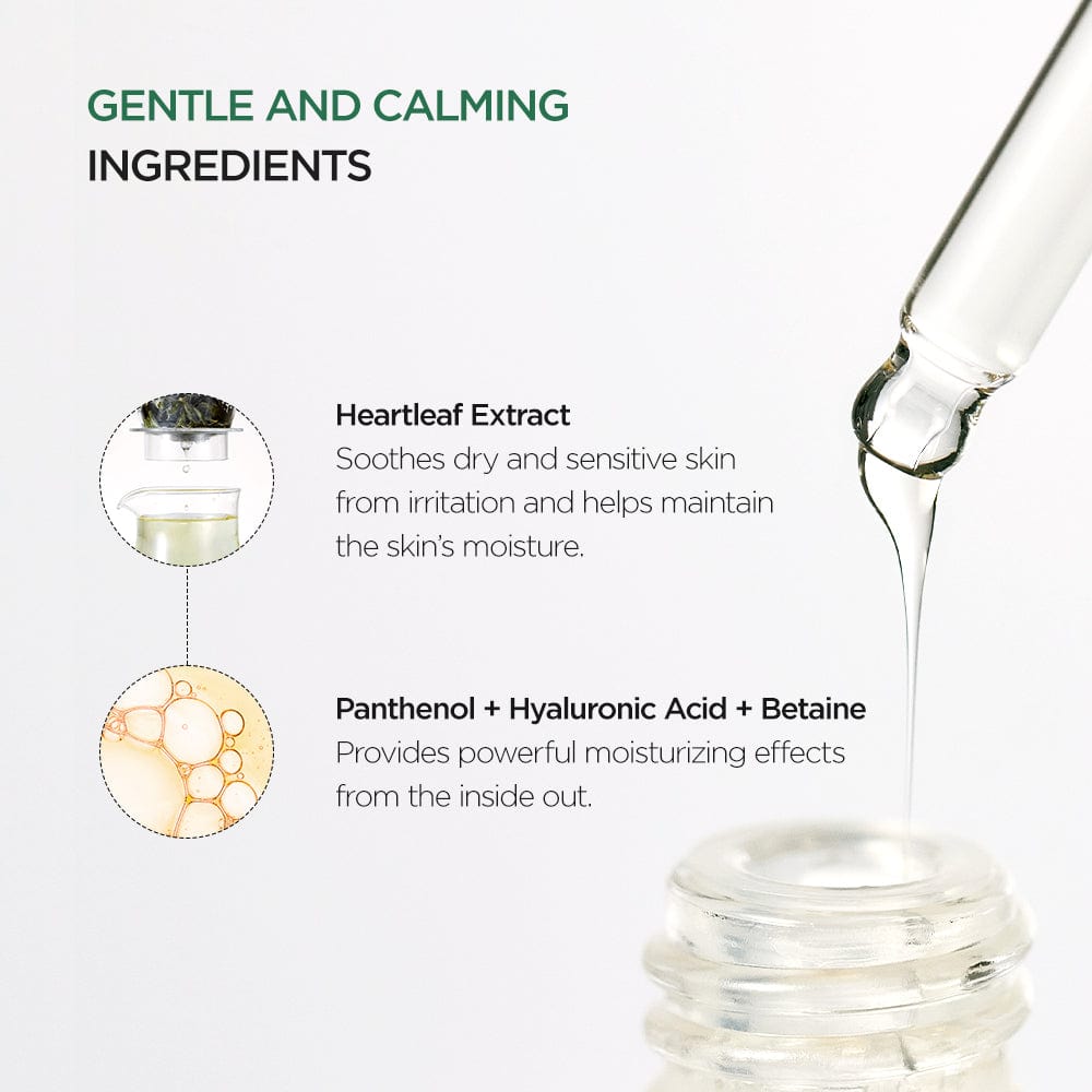 Anua heartleaf 80 moisture soothing Ampoule - Beauty Icon -