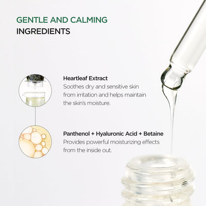Anua heartleaf 80 moisture soothing Ampoule - Beauty Icon -